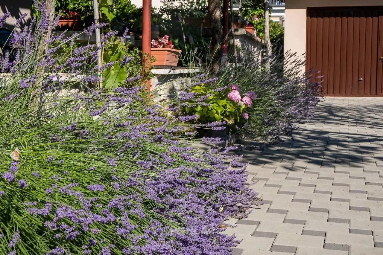 Apartment Casa Melita With Garden Stinjan